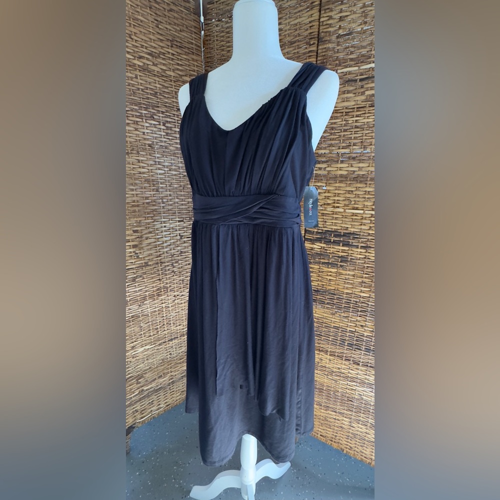 NWT Style & CO Dress (L) $49
